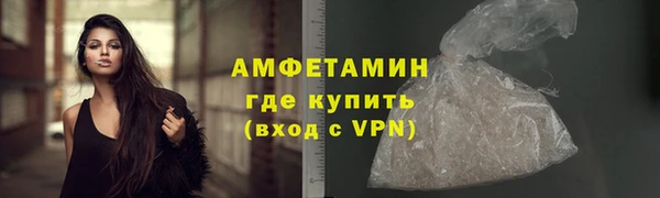 ГАЛЛЮЦИНОГЕННЫЕ ГРИБЫ Дмитриев